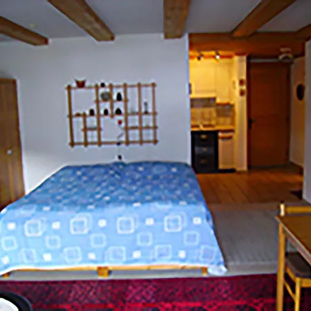 شقة Ferienwohnung Friderich, Dorfjihus *