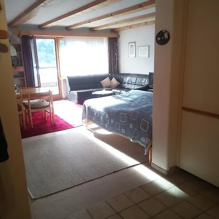 Ferienwohnung Friderich, Dorfjihus شقة